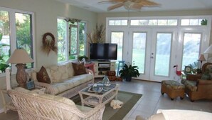 TV