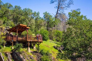 Property grounds - Private Vineyard Getaway in the Heart of Plymouth! (Plymouth)