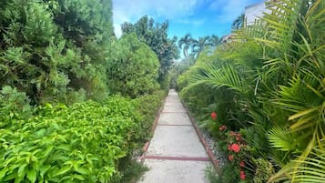 Áreas de la propiedad