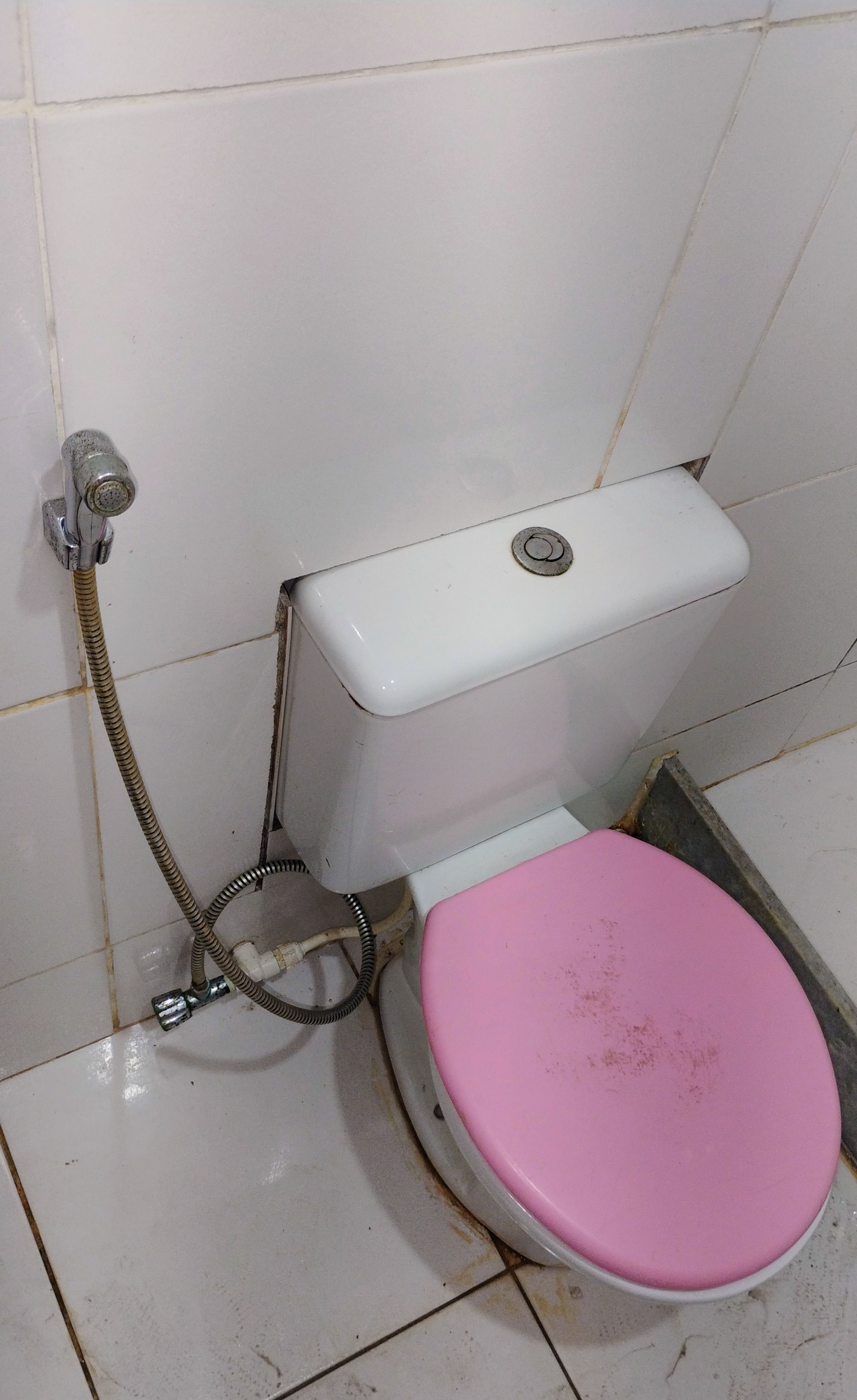 A small, compact bathroom with a white tiled wall, a white toilet with a pink seat, and a handheld showerhead.