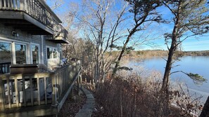 Property grounds - Lakefront Stunning Cape Cod Views w Private Lake Beach - Backyard is the Lake ! (Barnstable)