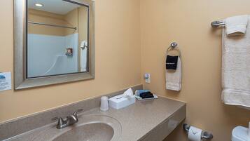 Een douche, een haardroger, handdoeken