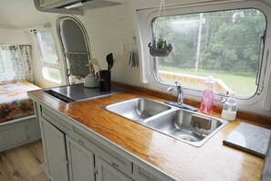 A compact kitchenette with a wooden countertop, two stainless steel sinks, and a hanging plant.
