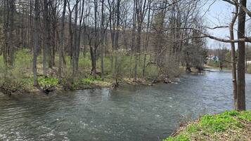 A river flowing through a wooded area with trees and a grassy bank.