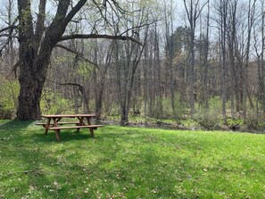Una mesa de picnic en un área verde, con un árbol grande cerca y un arroyo al fondo.