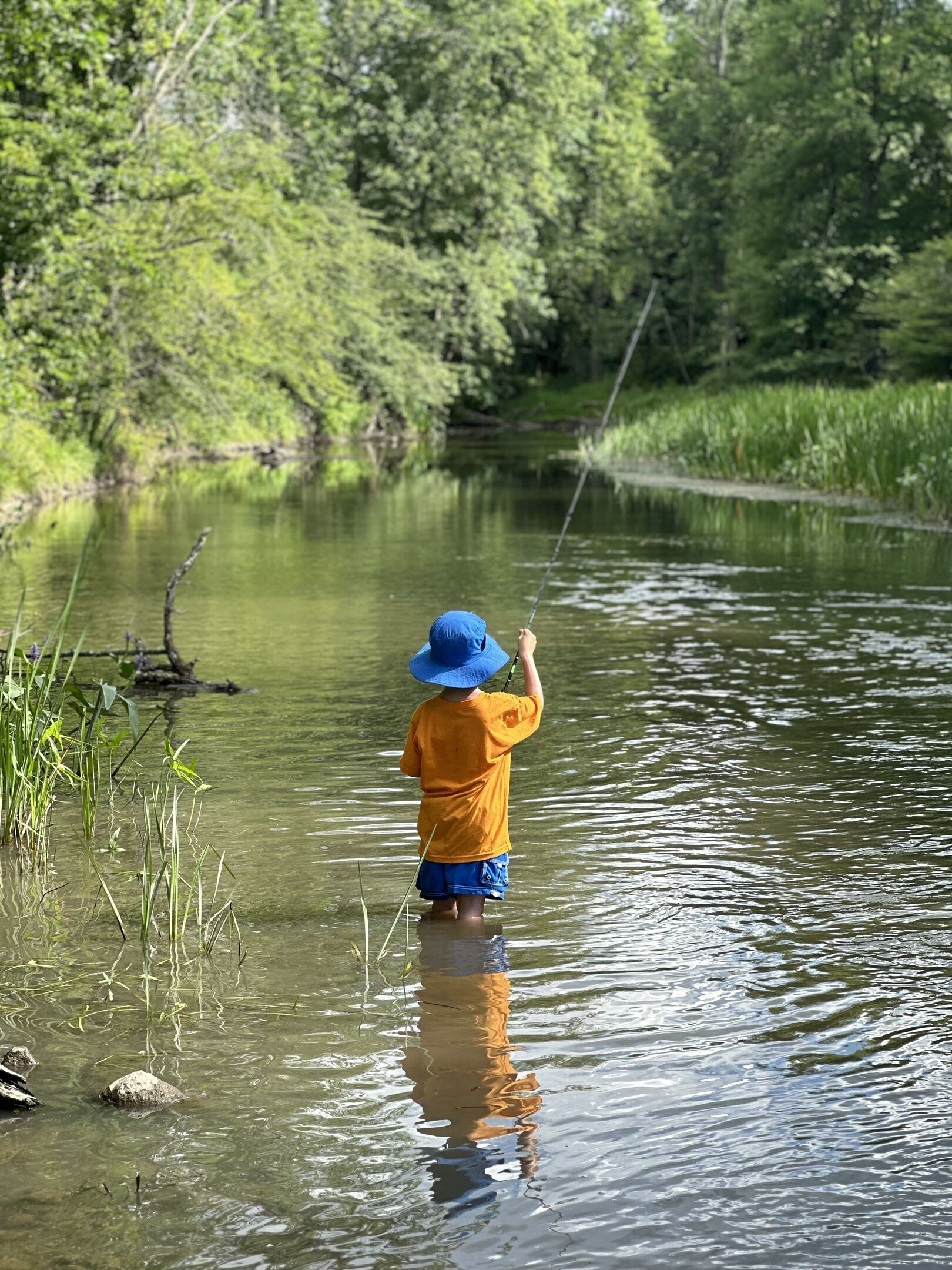 Un enfant pêche dans une rivière paisible, entourée de verdure.