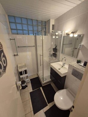 Shower, hair dryer, soap, toilet paper