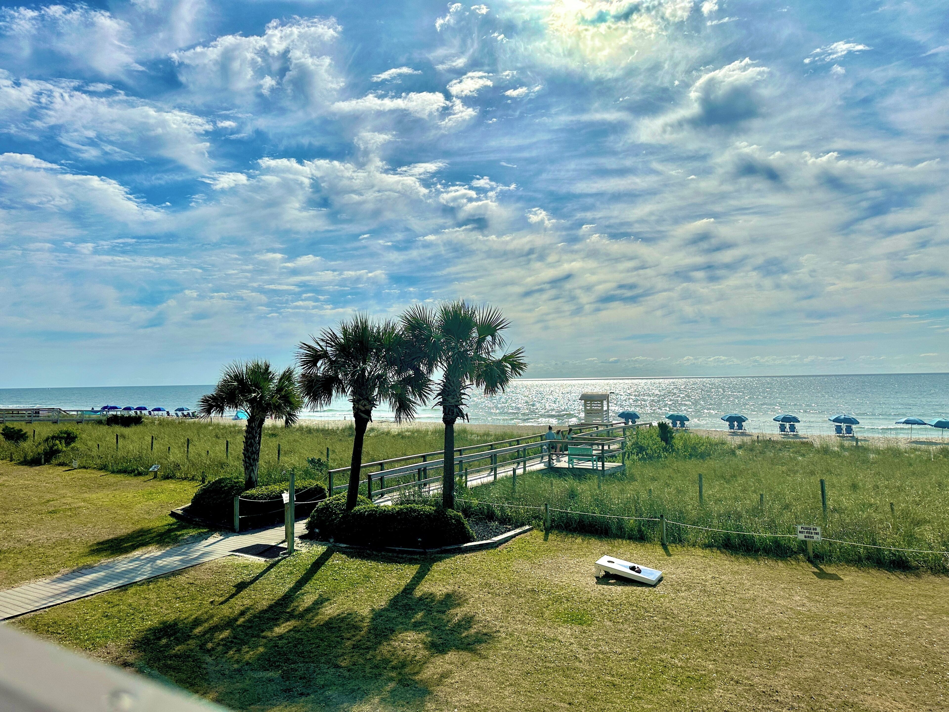 A beach view with palm trees, a pathway, and beach umbrellas.