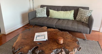 River View 1-bedroom house with WiFi Close to Downtown & Stadiums