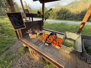 Miscellaneous - Sequoia Sanctuary•Hot Tub•Private Hilltop Escape (Three Rivers)