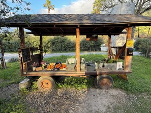 Ein Holzwagen für den Verkaufsstand im Freien mit einem Schild, verschiedenen Lebensmitteln und einem Hinweis auf Videoüberwachung.