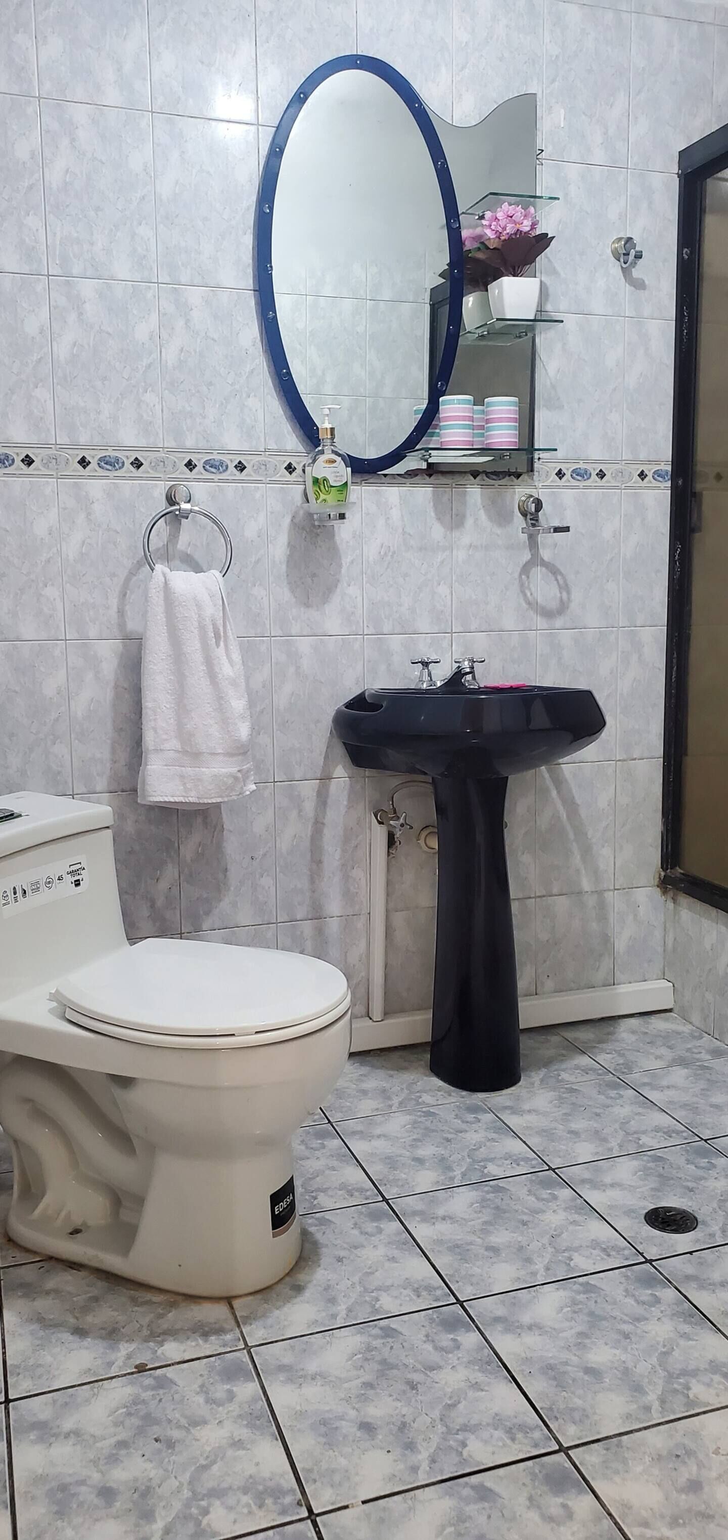 A bathroom with a toilet, a sink, a mirror, and a towel rack.