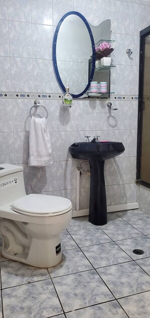 Dusj, hårføner, håndklær og toalettpapir