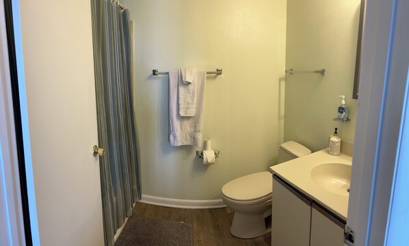 Hair dryer, towels, soap