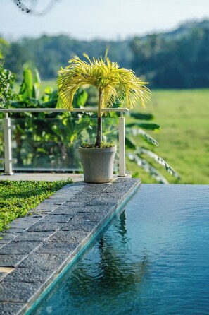 Eine Kübelpalme am Pool mit freiem Blick auf umliegendes Grün und eine entfernte Landschaft.