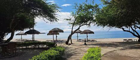 Sun loungers, beach towels