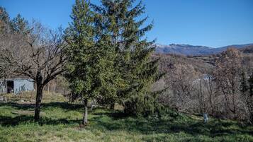 Un paisaje rural con un gran árbol de hoja perenne, un cobertizo pequeño y una cadena montañosa distante.