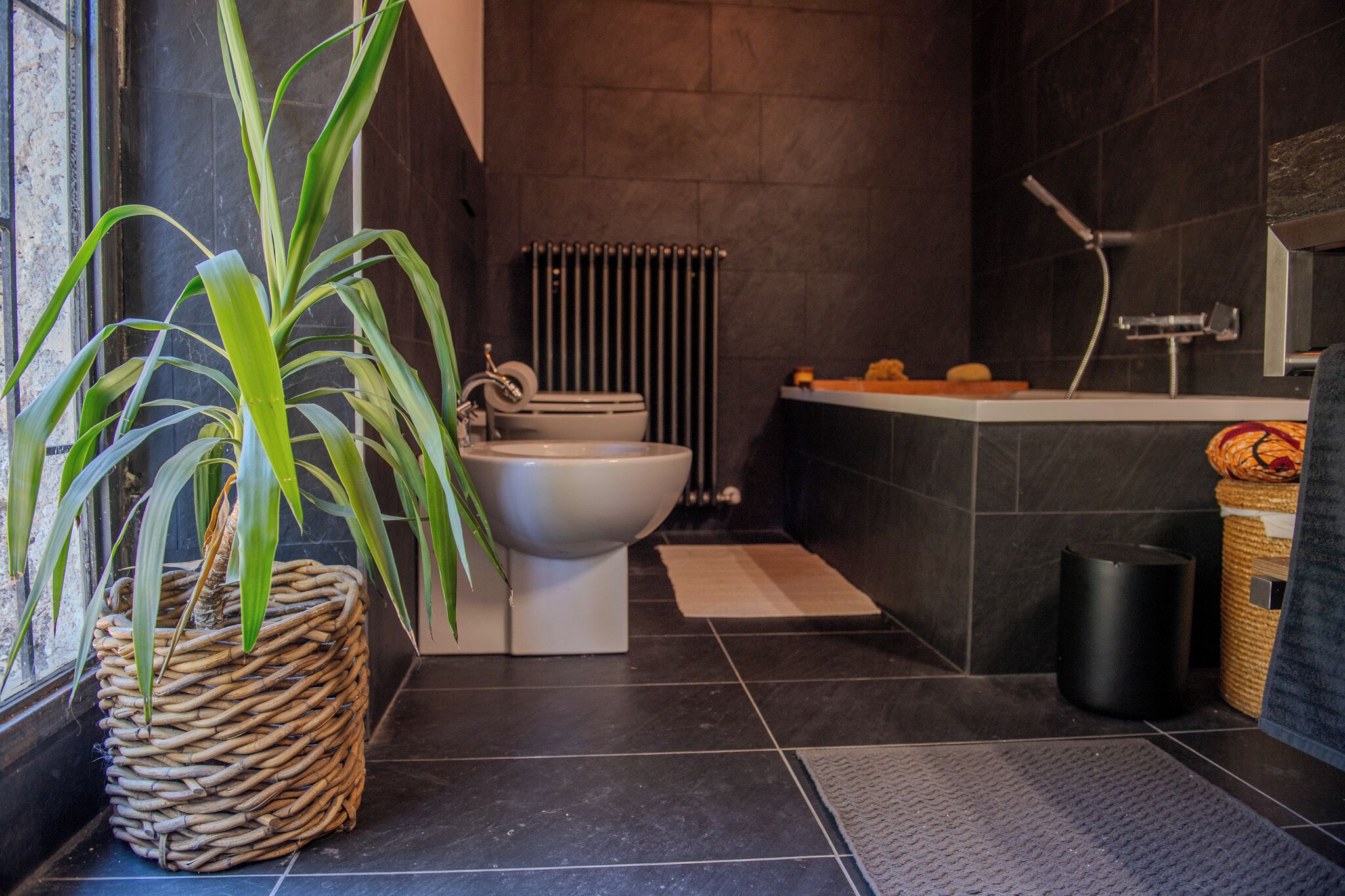 Maison, patio, vue montagne | Salle de bain