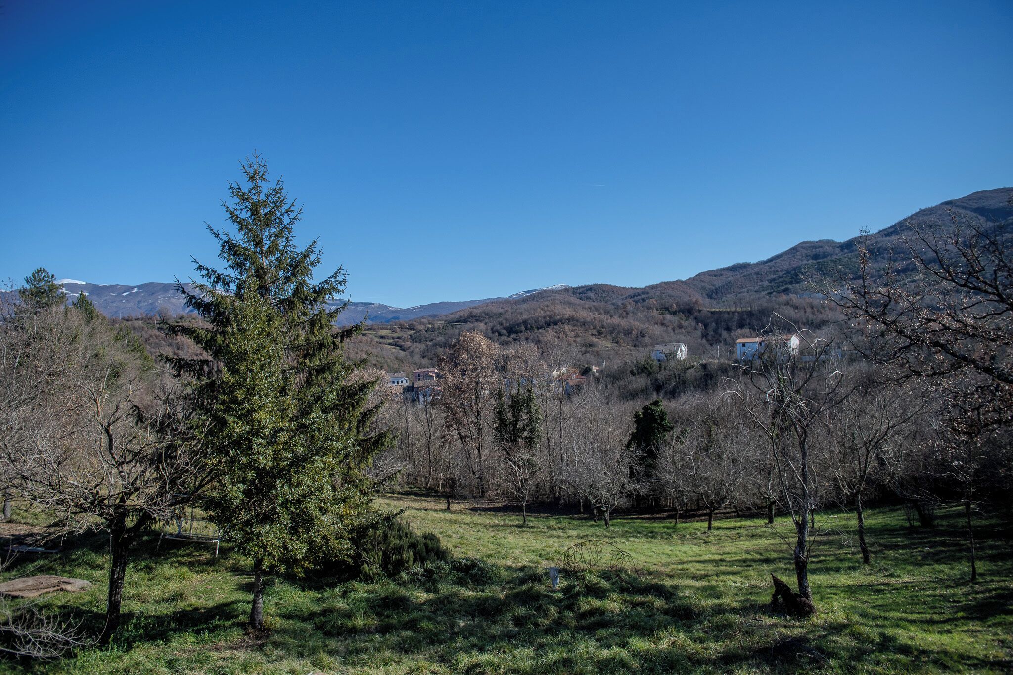Un paisaje montañoso con cielo despejado, un campo cubierto de hierba y algunos árboles dispersos.