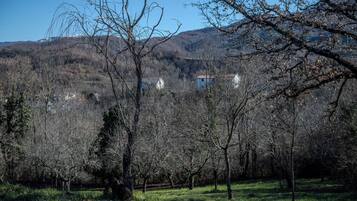 Paisaje rural con árboles, cielo despejado y edificios a la distancia.