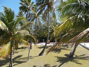 Property grounds - Matecumbe Resort (Islamorada)