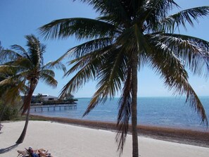 A beach with palm trees and a pier in the background. - Matecumbe Resort (Islamorada)