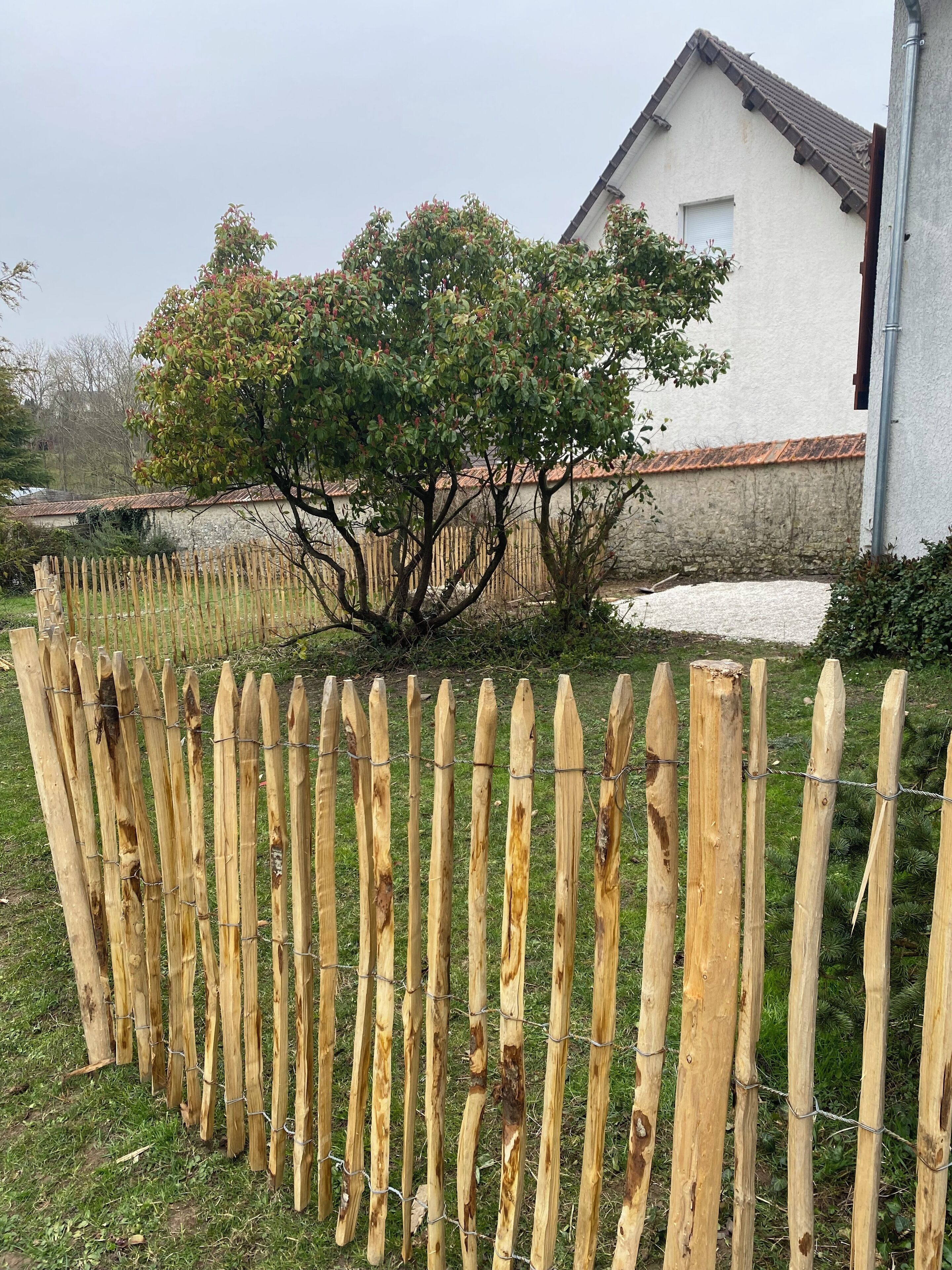 Àrea exterior de l'allotjament