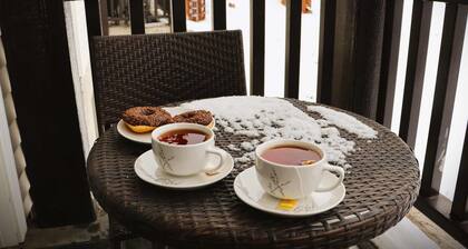 HOM | Depto ValleNevado 2D2B Vista a la Cordillera