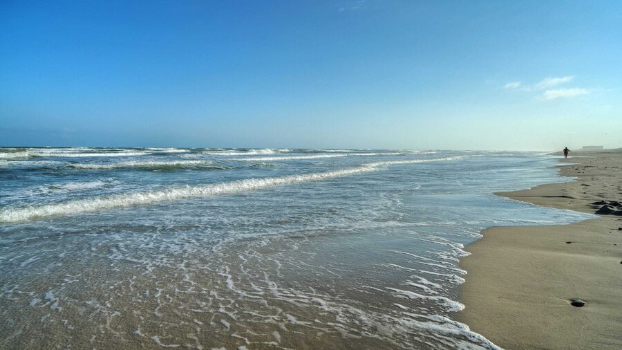 Villa La Isla Family Condo With Pool, Near Corpus Christi's Best Beaches & Dining