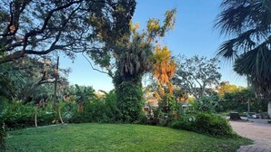 Ein gepflegter Garten mit verschiedenen Bäumen und Sträuchern, einer Schaukel und einem gepflasterten Weg.