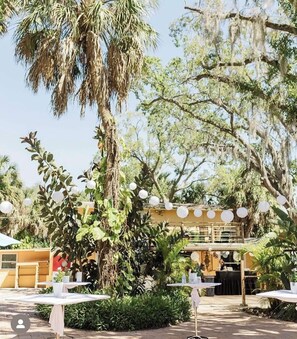 Outdoor dining - Bachelor, Weddings, College reunions, 2 houses on 1 acre nature freedom, swimspa (Tampa)