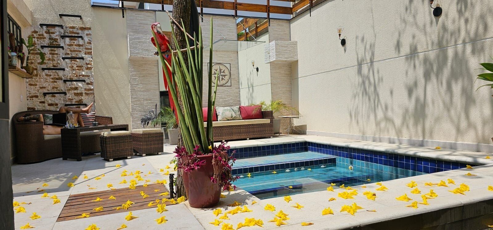 Un área de piscina con hidromasaje, muebles de mimbre y una planta decorativa.