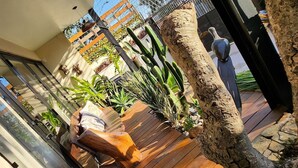 A balcony with wooden flooring, a cactus, and a wooden chair. - Chalé Ateliê Poder das Pedras (São Paulo)