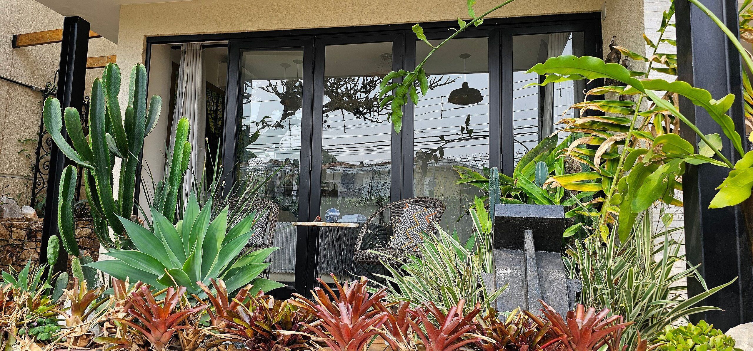 Área de pátio com diversas plantas, uma mesa e cadeiras.
