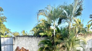 Unclassified image, 2 of 13, button - Habitaciones Dos Antonios (Puerto Vallarta)