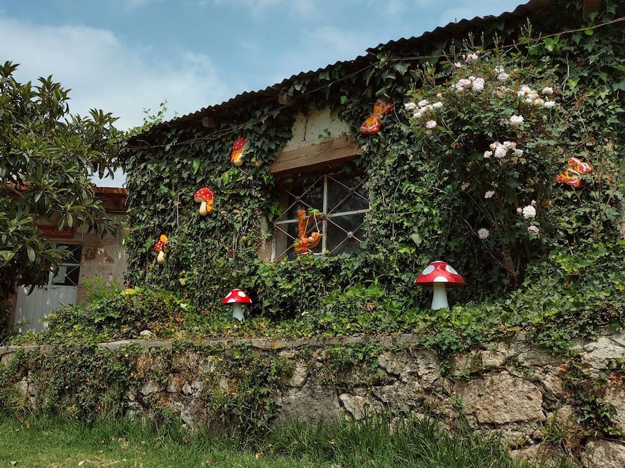 Basic Room, Resort View