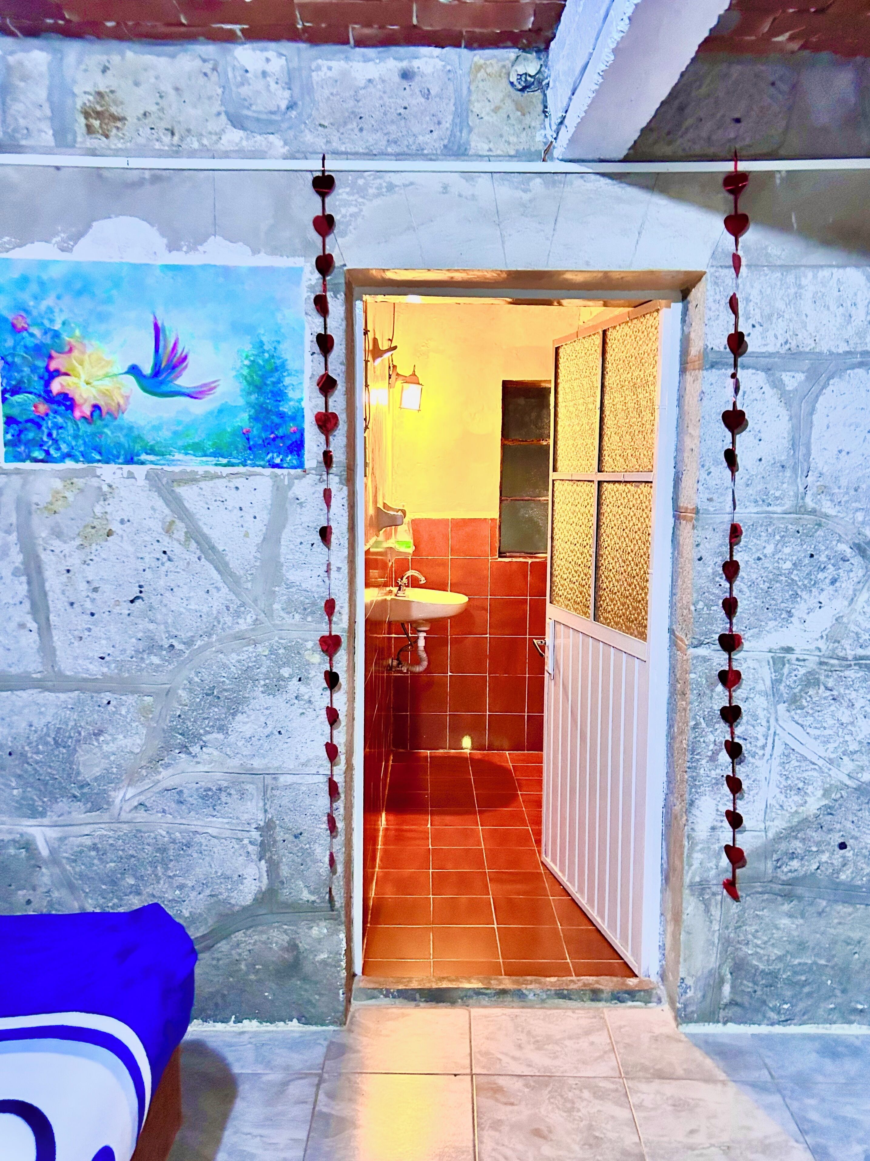 Ducha, toallas, jabón, shampoo