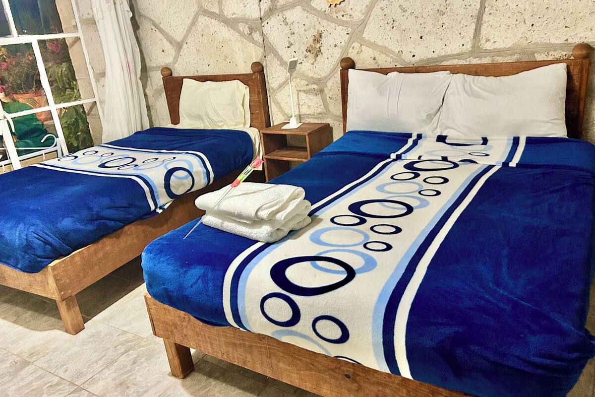 Una habitación con dos camas de madera, cada una con ropa de cama azul y almohadas blancas.