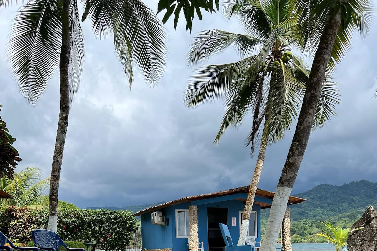 A pathway leading to a blue building with a stone base, surrounded by palm trees and a grassy area.