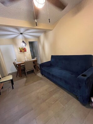 Living area - Raya apartment  (Ixtapa Zihuatanejo)