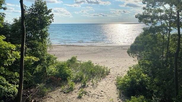 A beach path leading to a sandy beach with trees on either side. - Angola on the Lake Beach Front House  4BR  private beach wrap-around porches (Angola)