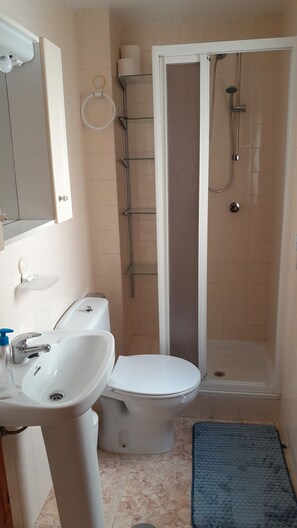Bathroom features a toilet, sink, and shower area with a glass door.