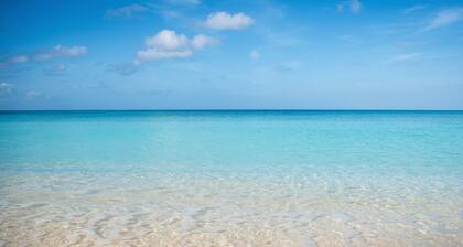 1st Floor 3 BR Ocean View condo sleeps 6. Walking distance to shops/restaurants!