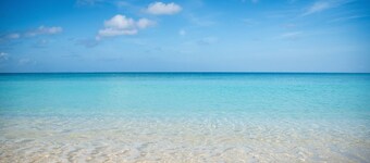 1st Floor 3 BR Ocean View condo sleeps 6. Walking distance to shops/restaurants!