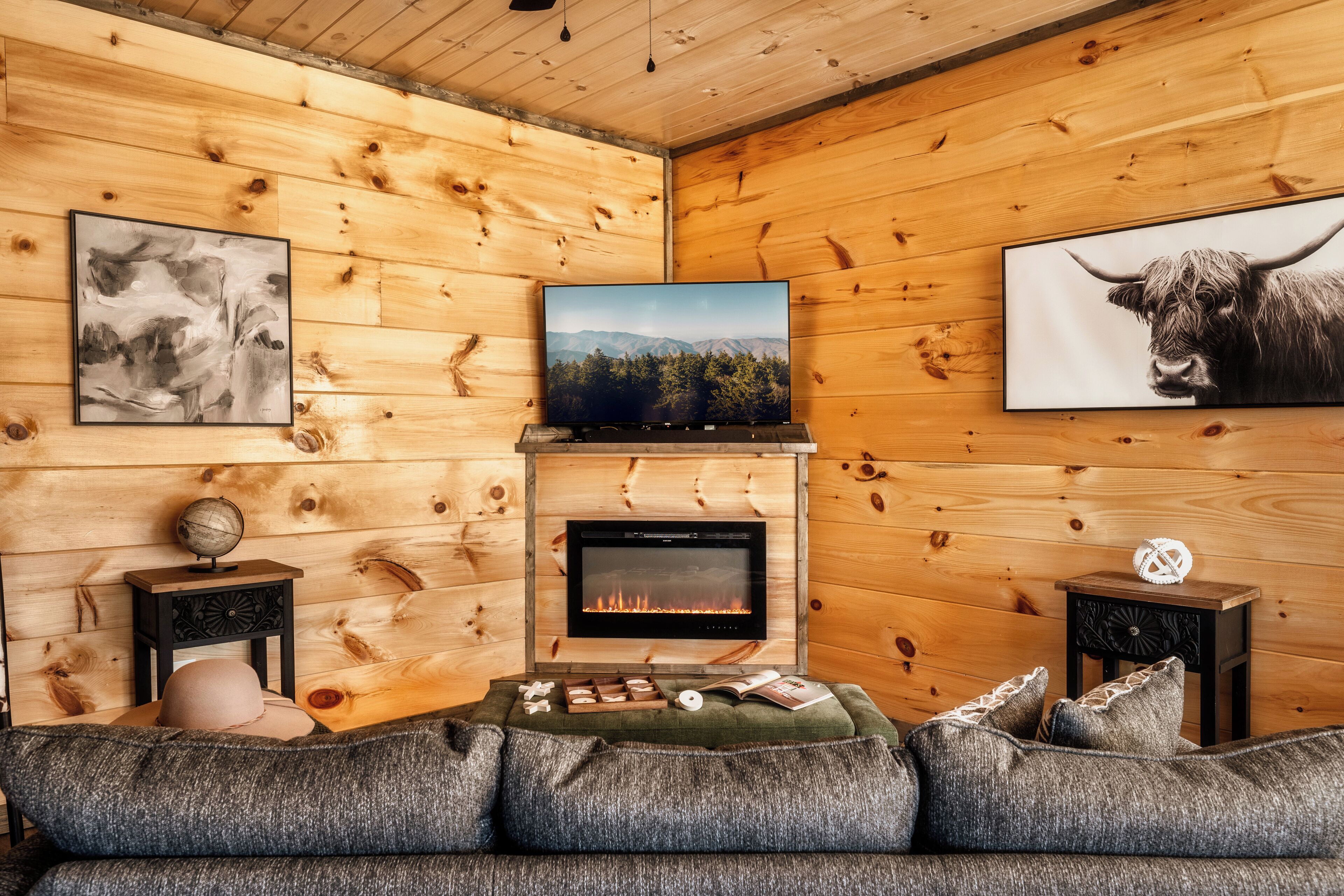 Smart TV, lareira, videogames, livros