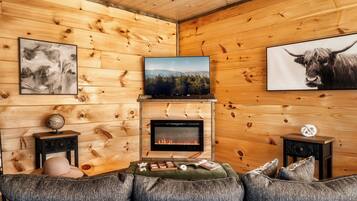 Smart TV, lareira, videogames, livros