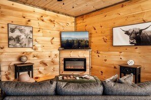 Smart TV, fireplace, video games, books