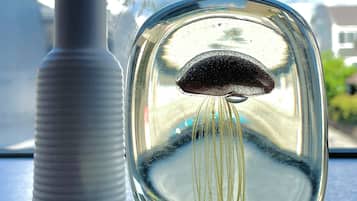 Vue depuis l’hébergement