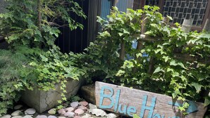 Uma área de jardim com uma placa de madeira com a inscrição "BlueHouse", cercada por diversas plantas e conchas no chão.