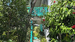 Un sentier bordé d’une végétation luxuriante et d’une structure aux couleurs turquoises.